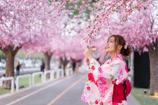 Γυναίκα Yukata Κιμονό Φόρεμα Αναζητούν Λουλούδι Sakura Άνθη Κερασιάς Ανθίζουν — Φωτογραφία Αρχείου