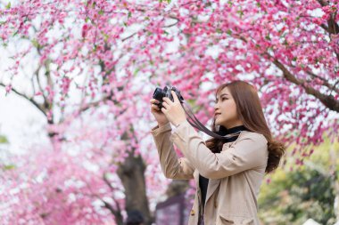 Genç kadın gezgin kiraz çiçeklerine bakıyor ya da sakura çiçeği açıyor ve parkta fotoğraf çekmek için kamerayı tutuyor.