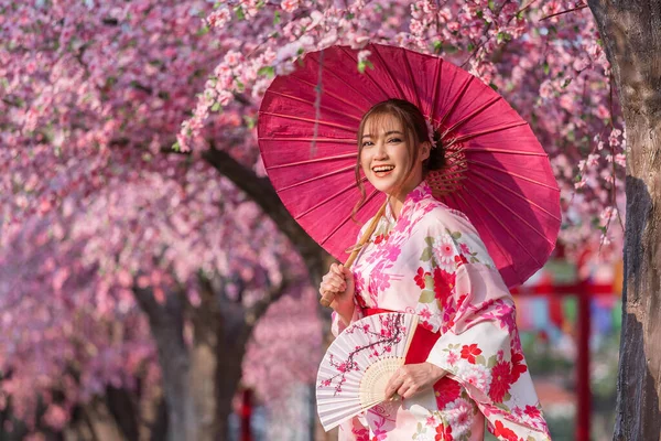 Žena Yukata Kimono Šaty Drží Deštník Skládací Ventilátor Vypadá Sakura — Stock fotografie