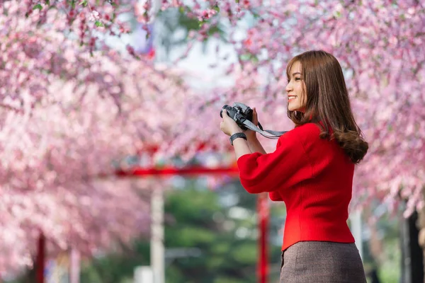 公園で写真を撮るために桜や桜の花を見てカメラを持っている若い女性旅行者 — ストック写真