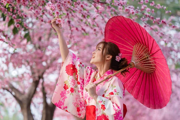 Donna Yukata Abito Kimono Che Tiene Ombrello Guardando Fiore Sakura — Foto Stock