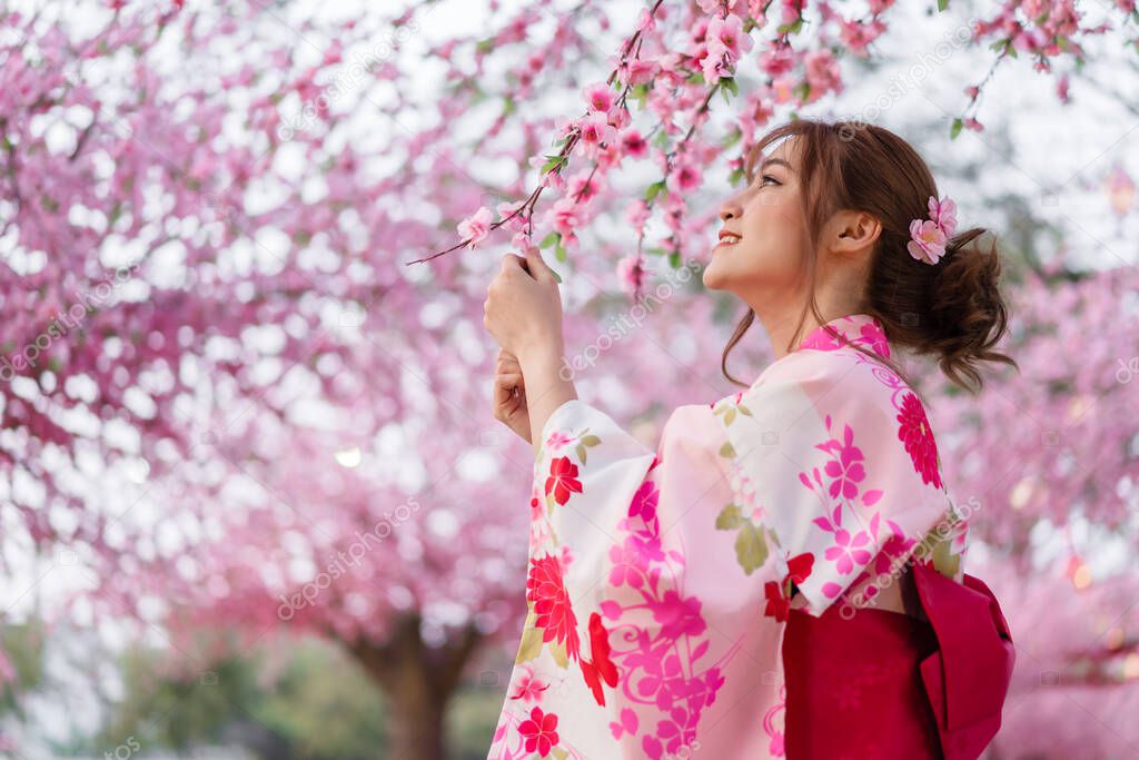 woman in yukata (kimono dress) looking sakura flower or cherry blossom blooming in the garden
