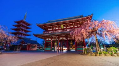 TOKYO, JAPONYA - 27 Mart 2019: Sensoji Tapınağı 'nın sabah Tokyo, Japonya' da kiraz çiçekleri eşliğinde gün be gün son kullanma tarihi