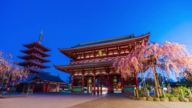 TOKYO, JAPONYA - 27 Mart 2019: Sensoji Tapınağı 'nın sabah Tokyo, Japonya' da kiraz çiçekleri eşliğinde gün be gün son kullanma tarihi
