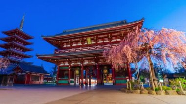 TOKYO, JAPONYA - 27 Mart 2019: Sensoji Tapınağı 'nın sabah Tokyo, Japonya' da kiraz çiçekleri eşliğinde gün be gün son kullanma tarihi