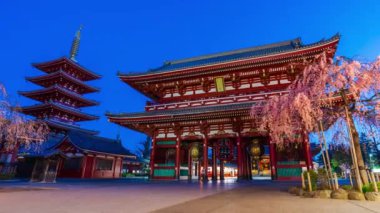 TOKYO, JAPONYA - 27 Mart 2019: Sensoji Tapınağı 'nın sabah Tokyo, Japonya' da kiraz çiçekleri eşliğinde gün be gün son kullanma tarihi