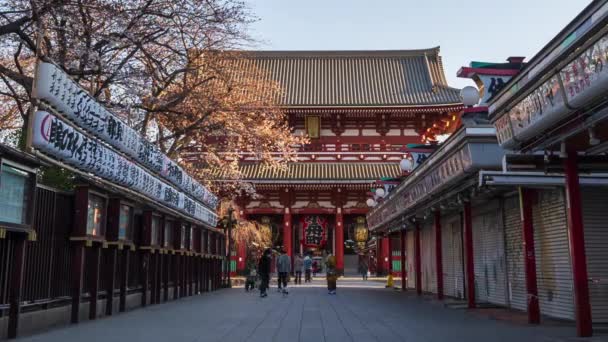 Токио Япония Марта 2019 Года Время Весеннего Цветения Вишни Ворот — стоковое видео