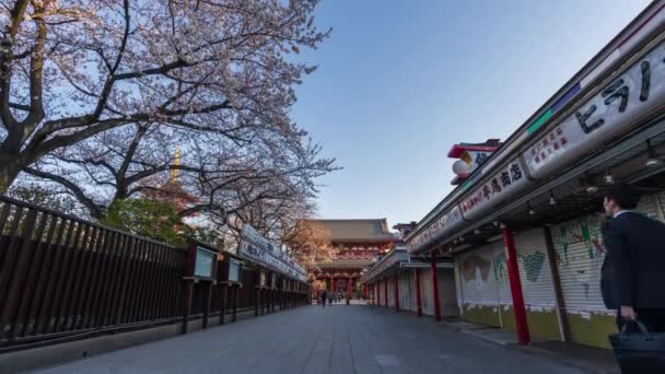 日本东京都 2019年3月27日 春天的樱花在日本东京森索寺的Hozomon门绽放 游客身份不明 — 图库视频影像