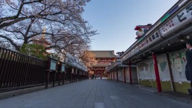 TOKYO, JAPONYA - 27 Mart 2019: Sensoji Tapınağı Hozomon Kapısı 'nda kimliksiz turist Tokyo, Japonya ile bahar kiraz çiçeklerinin zaman aşımı