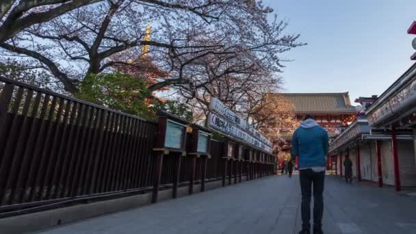 Tokyo Japonya Mart 2019 Sensoji Tapınağı Hozomon Kapısı Nda Kimliksiz — Stok video