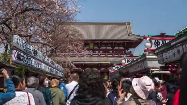 Tokyo Japan Maret 2019 Orang Tak Dikenal Mengunjungi Kuil Sensoji — Stok Video