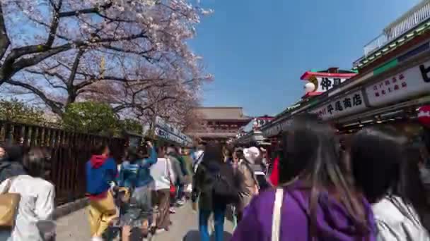 Tokio Japonsko Března 2019 Časový Odstup Neidentifikovaných Lidí Navštíví Chrám — Stock video