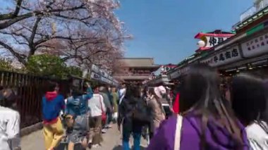 TOKYO, JAPONYA - 27 Mart 2019: Kimliği belirsiz kişilerin Asakusa, Tokyo, Japonya 'daki Sensoji tapınağını kiraz çiçeğiyle ziyaret etmesi