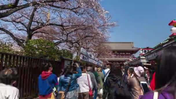 Tokio Japan März 2019 Unbekannte Besuchen Zeitraffer Den Sensoji Tempel — Stockvideo