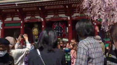 TOKYO, JAPONYA - 27 Mart 2019: Kimliği belirsiz kişilerin Asakusa, Tokyo, Japonya 'daki Sensoji tapınağını kiraz çiçeğiyle ziyaret etmesi