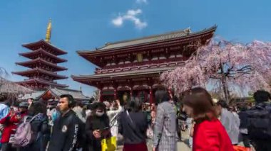 TOKYO, JAPONYA - 27 Mart 2019: Kimliği belirsiz kişilerin Asakusa, Tokyo, Japonya 'daki Sensoji tapınağını kiraz çiçeğiyle ziyaret etmesi