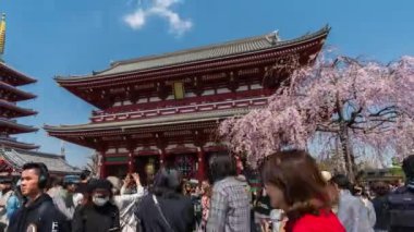 TOKYO, JAPONYA - 27 Mart 2019: Kimliği belirsiz kişilerin Asakusa, Tokyo, Japonya 'daki Sensoji tapınağını kiraz çiçeğiyle ziyaret etmesi