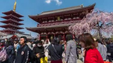 TOKYO, JAPONYA - 27 Mart 2019: Kimliği belirsiz kişilerin Asakusa, Tokyo, Japonya 'daki Sensoji tapınağını kiraz çiçeğiyle ziyaret etmesi