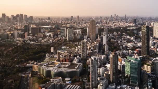 Time Lapse Van Tokio Stad Japan — Stockvideo