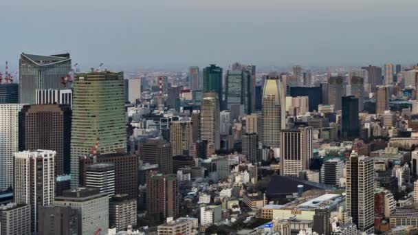 日本东京市的夜以继日 — 图库视频影像