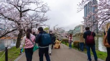 TOKYO, JAPONYAN - 29 Mart 2019 Ueno Park 'taki Kiraz Çiçeği Festivali' nin zaman aşımı. Ueno Park eğlenmek için en iyi yerlerden biridir, Tokyo, Japonya.
