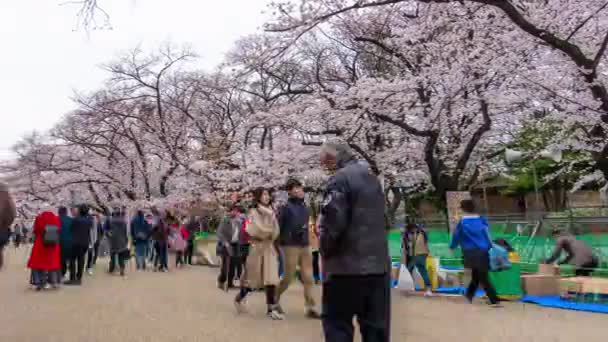 Tokyo Japan Maart 2019 Tijd Voor Kersenbloesemfestival Ueno Park Ueno — Stockvideo