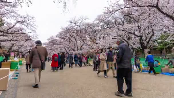 Tokyo Giappone Marzo 2019 Time Lapse Del Festival Dei Fiori — Video Stock