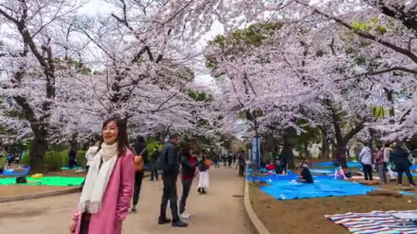 Tokyo Japonyan Mart 2019 Ueno Park Taki Kiraz Çiçeği Festivali — Stok video