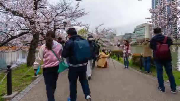 Tokyo Giappone Marzo 2019 Time Lapse Del Festival Dei Fiori — Video Stock