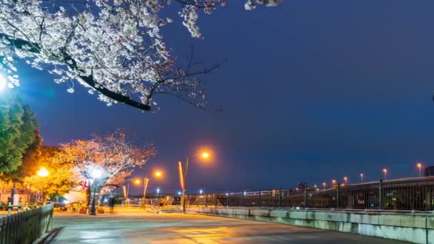 Dag Nacht Verlopen Kersenbloesemfestival Sumida Rivier Tokio Japan — Stockvideo