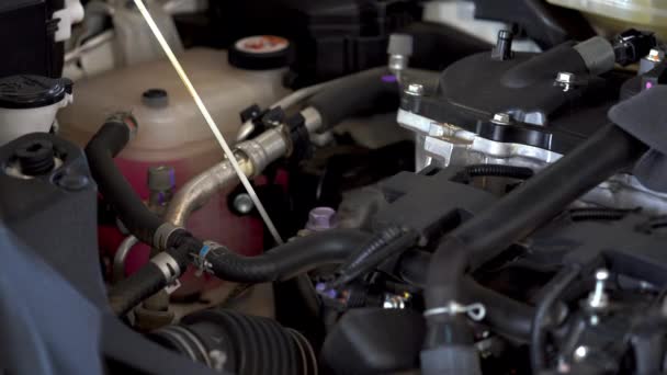 技师手检查汽车发动机油杆上的油位 — 图库视频影像