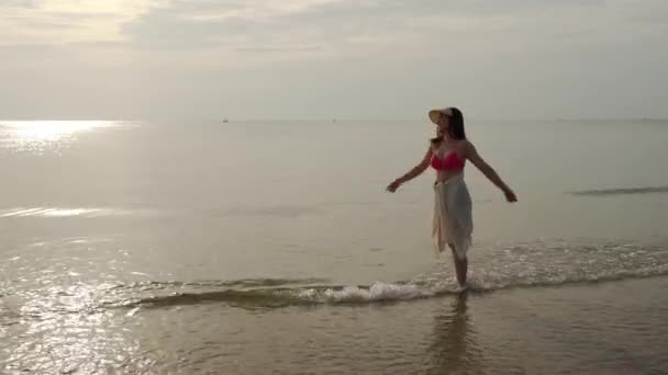 ビーチで日光浴をするビキニ姿の陽気な女性 — ストック動画