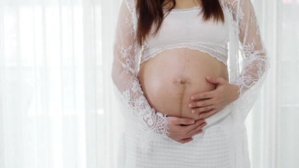 Primer Plano Mujer Embarazada Acariciando Vientre Sobre Fondo Ventana — Vídeos de Stock