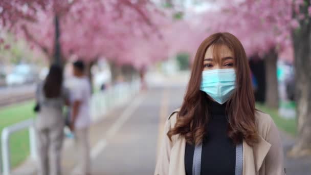 Jovem Viajante Vestindo Máscara Facial Olhando Flores Cerejeira Flor Sakura — Vídeo de Stock