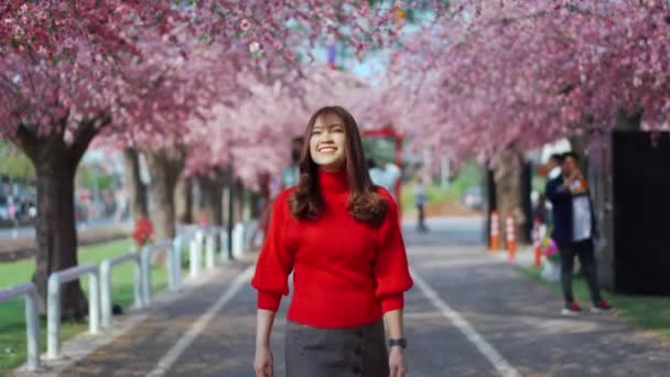 Wesoła Kobieta Podróżnik Spacery Patrząc Kwiaty Wiśni Lub Sakura Kwiat — Wideo stockowe