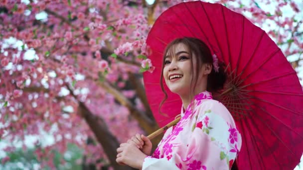 Mujer Yukata Vestido Kimono Sosteniendo Paraguas Buscando Flor Sakura Flor — Vídeos de Stock