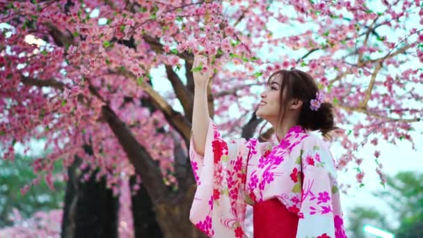 Yukata Kadın Kimono Elbisesi Sakura Çiçeği Bahçede Açan Kiraz Çiçeğine — Stok video