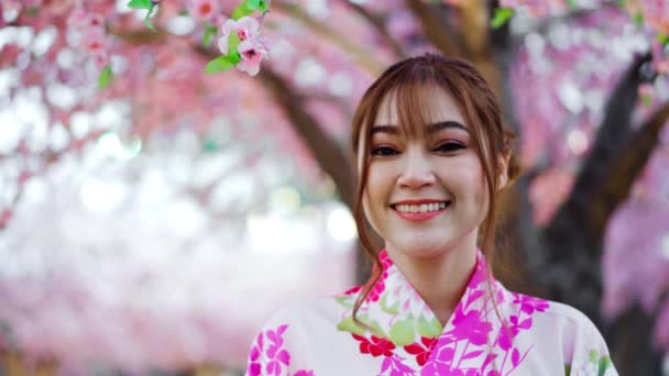 벚꽃이나 정원에서 벚꽃을 유카타 기모노 — 비디오