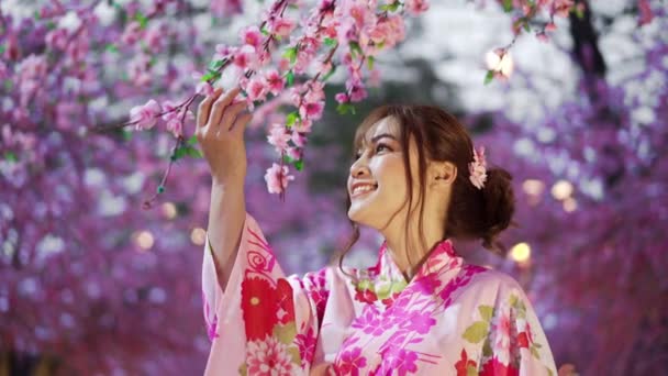 Femme Yukata Robe Kimono Regardant Fleur Sakura Fleur Cerisier Fleurissant — Video