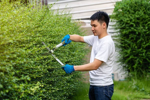 小伙子在家里的花园里用大剪刀剪枝修剪植物 — 图库照片