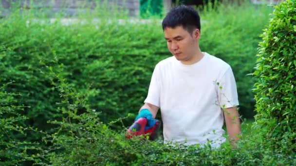 Młody Człowiek Pomocą Bezprzewodowego Elektrycznego Cięcia Żywopłotu Przycinania Roślin Ogrodzie — Wideo stockowe
