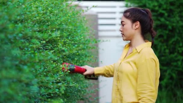 Young Woman Using Cordless Electric Hedge Cutting Trimming Plant Garden — Stock Video