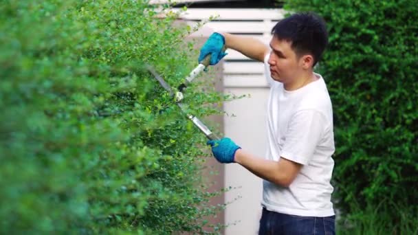 Młody Człowiek Pomocą Dużych Nożyczek Cięcia Przycinania Roślin Ogrodzie Domu — Wideo stockowe