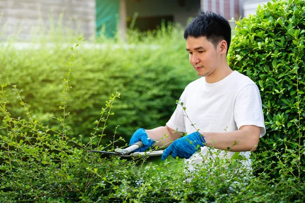 Joven Hombre Usando Grandes Tijeras Corte Recorte Planta Jardín Casa — Foto de Stock