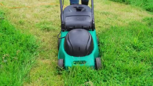 Worker Using Lawn Mower Cutting Grass Home — Stock Video