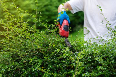 Evdeki bahçedeki kablosuz elektrik çit kesme ve budama tesisini kullanarak elinizi kapatın. 