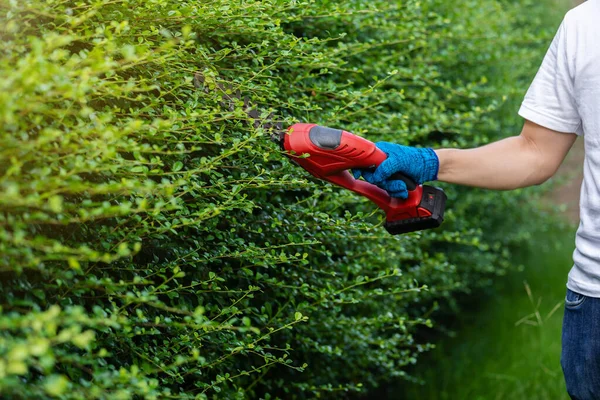 Close Hand Using Cordless Electric Hedge Cutting Trimming Plant Garden — Stock Photo, Image