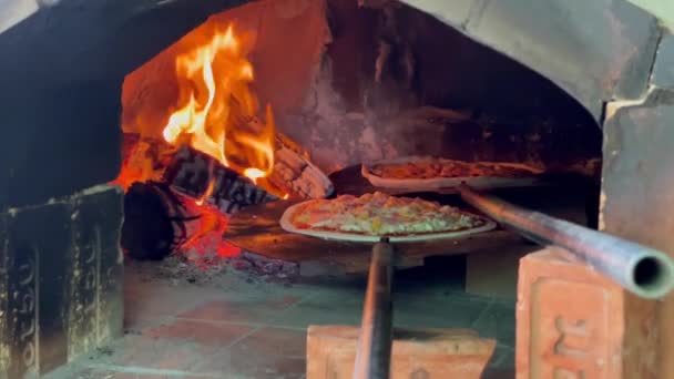 Гаряча Піца Дерев Яній Печі Вогнем — стокове відео