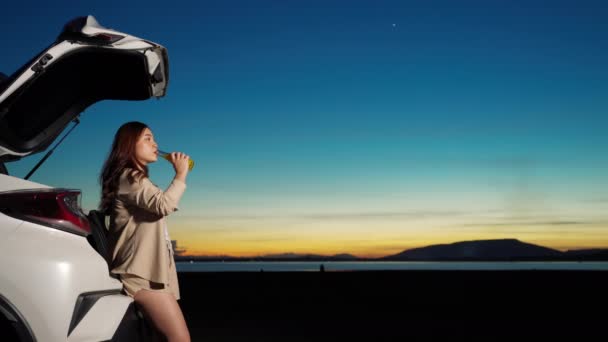 Молода Жінка Стоїть Біля Машини Насолоджуючись Полі Заході Сонця — стокове відео