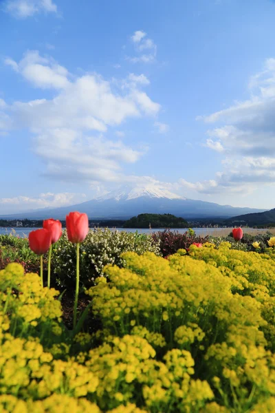 Mount fuji, vy från sjön kawaguchiko — Stockfoto